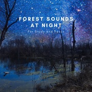 {DOWNLOAD} Natural Sounds Selections -  Forest Sounds At Night F {ALBUM MP3 ZIP}'s avatar
