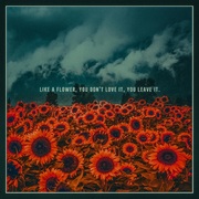 {DOWNLOAD} September Stories -  Like a Flower, You Don't {ALBUM MP3 ZIP}'s avatar