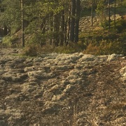 {DOWNLOAD} Aleksi Perälä -  Midnight Sun 5 B {ALBUM MP3 ZIP}'s avatar