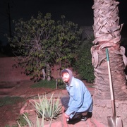 {DOWNLOAD} Field Medic -  Plunge Deep Golden Knife {ALBUM MP3 ZIP}'s avatar