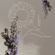 {DOWNLOAD} Eva-Joy -  Himmelsblumen - EP {ALBUM MP3 ZIP}'s avatar