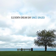 {DOWNLOAD} Eleventh Dream Day -  Since Grazed {ALBUM MP3 ZIP}'s avatar