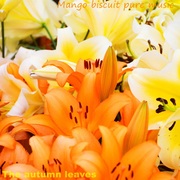 {DOWNLOAD} Mango Biscuit Pure Music -  The Autumn Leaves {ALBUM MP3 ZIP}'s avatar