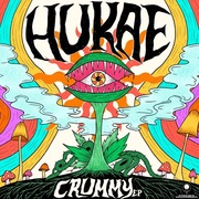 {DOWNLOAD} Hukae -  Crummy - EP {ALBUM MP3 ZIP}'s avatar