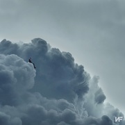 {DOWNLOAD} NF -  CLOUDS (THE MIXTAPE) {ALBUM MP3 ZIP}'s avatar