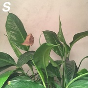 {DOWNLOAD} Stefanie Stauffacher -  Stefanie {ALBUM MP3 ZIP}'s avatar