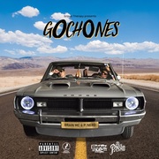 {DOWNLOAD} Brain MC & P. Nero -  Gochones {ALBUM MP3 ZIP}'s avatar