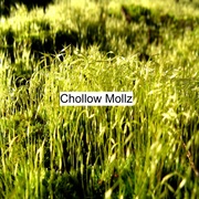 {DOWNLOAD} Chollow Mollz -  Hastlow Cap {ALBUM MP3 ZIP}'s avatar