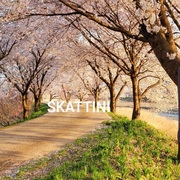{DOWNLOAD} Skattini -  Contadour {ALBUM MP3 ZIP}'s avatar