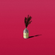 {DOWNLOAD} KozyPop -  Seoul Vibes, Floral - EP {ALBUM MP3 ZIP}'s avatar
