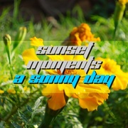 {DOWNLOAD} Sunset Moments -  A Sunny Day {ALBUM MP3 ZIP}'s avatar