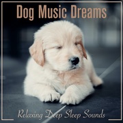 {DOWNLOAD} Dog Music Dreams, Dog Mus -  Dog Music Dreams: Relaxi {ALBUM MP3 ZIP}'s avatar