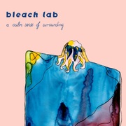 {DOWNLOAD} Bleach Lab -  A Calm Sense of Surround {ALBUM MP3 ZIP}'s avatar