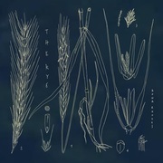 {DOWNLOAD} bona rhodes -  The Rye - EP {ALBUM MP3 ZIP}'s avatar