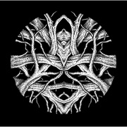 {DOWNLOAD} Pfirter & NØRBAK -  Life, Truth, Freedom, Fe {ALBUM MP3 ZIP}'s avatar