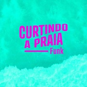 {DOWNLOAD} Vários intérpretes -  Curtindo a Praia Funk {ALBUM MP3 ZIP}'s avatar