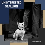 {DOWNLOAD} Zark Feskin -  Uninterested Stallion {ALBUM MP3 ZIP}'s avatar