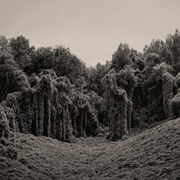 {DOWNLOAD} Kelly McFarling -  Deep the Habit {ALBUM MP3 ZIP}'s avatar