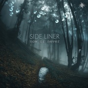 {DOWNLOAD} Side Liner -  Now or Never {ALBUM MP3 ZIP}'s avatar