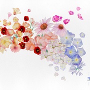 {DOWNLOAD} Gretchen Parlato -  Flor {ALBUM MP3 ZIP}'s avatar