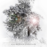 {DOWNLOAD} Dèhá -  A Luminous Constant {ALBUM MP3 ZIP}'s avatar