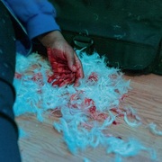 {DOWNLOAD} Kaonashi -  Dear Lemon House, You Ru {ALBUM MP3 ZIP}'s avatar