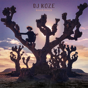 {DOWNLOAD} DJ Koze -  Knock Knock {ALBUM MP3 ZIP}'s avatar