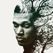{DOWNLOAD} Trip Lee -  Rise {ALBUM MP3 ZIP}'s avatar
