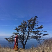 {DOWNLOAD} David John Morris -  Monastic Love Songs {ALBUM MP3 ZIP}'s avatar