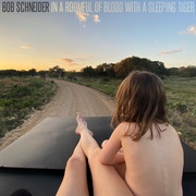 {DOWNLOAD} Bob Schneider -  In a Roomful of Blood wi {ALBUM MP3 ZIP}'s avatar
