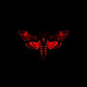 {DOWNLOAD} Lil Wayne -  I Am Not a Human Being I {ALBUM MP3 ZIP}'s avatar