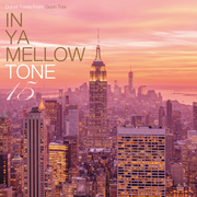 {DOWNLOAD} Various Artists -  In Ya Mellow Tone 15 {ALBUM MP3 ZIP}'s avatar