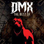 {DOWNLOAD} DMX -  The Best of DMX (Re-Reco {ALBUM MP3 ZIP}'s avatar