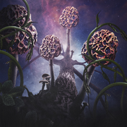 {DOWNLOAD} Blut aus Nord -  Hallucinogen {ALBUM MP3 ZIP}'s avatar