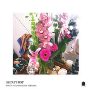 {DOWNLOAD} Wicca Phase Springs Etern -  Secret Boy {ALBUM MP3 ZIP}'s avatar