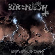 {DOWNLOAD} Birdflesh -  Extreme Graveyard Tornad {ALBUM MP3 ZIP}'s avatar