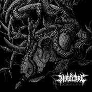 {DOWNLOAD} Mire Lore -  Marrow Leech {ALBUM MP3 ZIP}'s avatar