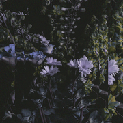 {DOWNLOAD} Montell Fish -  It's Beautiful. {ALBUM MP3 ZIP}'s avatar