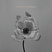 {DOWNLOAD} The Naked and Famous -  In Rolling Waves {ALBUM MP3 ZIP}'s avatar