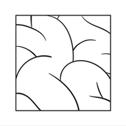 {DOWNLOAD} Intellexual -  Intellexual {ALBUM MP3 ZIP}'s avatar