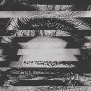 {DOWNLOAD} A Place to Bury Strangers -  Re-Pinned {ALBUM MP3 ZIP}'s avatar