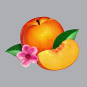 {DOWNLOAD} Phoenix -  Bankrupt! {ALBUM MP3 ZIP}'s avatar