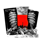{DOWNLOAD} Working Men's Club -  Teeth - EP {ALBUM MP3 ZIP}'s avatar