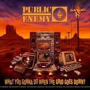 {DOWNLOAD} Public Enemy -  What You Gonna Do When T {ALBUM MP3 ZIP}'s avatar