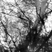 {DOWNLOAD} Grouper -  Way Their Crept {ALBUM MP3 ZIP}'s avatar
