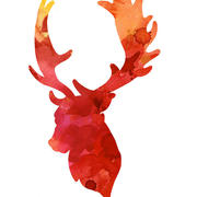 Advikar Ananthkumar's avatar