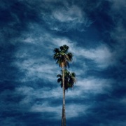 {DOWNLOAD} Mike Lust -  Demented Wings {ALBUM MP3 ZIP}'s avatar