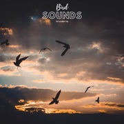 {DOWNLOAD} Natural Sound Makers, Nat -  Birds Sounds To Sleep To {ALBUM MP3 ZIP}'s avatar