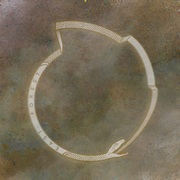 {DOWNLOAD} East Forest -  Bones - EP {ALBUM MP3 ZIP}'s avatar