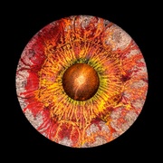 {DOWNLOAD} Rui Reininho -  20.000 Éguas Submarinas  {ALBUM MP3 ZIP}'s avatar